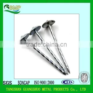 Iron Material and Roofing Nails Type Cheap and High Quality Zinc Galvanized Nails thumbnail-1