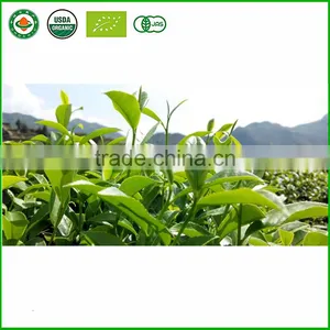 China Tieguanyin Oolong Tea, Natural Organic Health Tea, Slimming Tea Sweet Fragrance Fujian Anxi Oolong Tea thumbnail-3