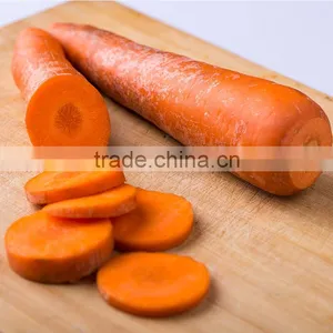 Wholesale Baby Carrots With Good Price thumbnail-4