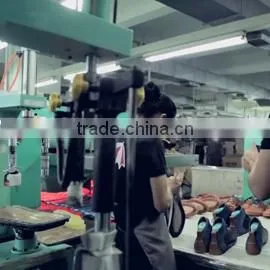Hefei Fengzhisheng Trade Co., Ltd. company overview - view 1 thumbnail