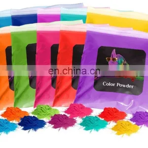 Organic Pigment Holi Powder Pearlescent Effect Holi Color Powder Color Powder Holi Holi Color Powder Holi Colour Powder Factory thumbnail-4
