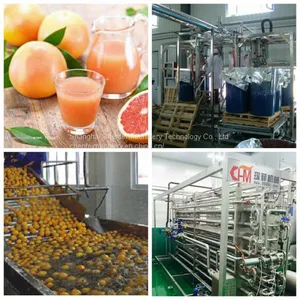 Grapefruit Juice Processing Line thumbnail-1