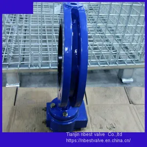 U Type Double Flange Connection Butterfly Valve 1.4529disc thumbnail-2
