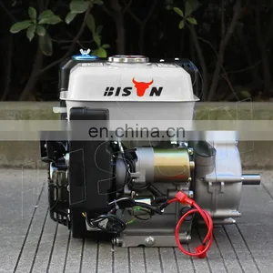 BISON CHINA Mini Petrol 6.5hp 168 f 196cc Single Cylinder Gasoline Engine Manual Clutch Engine thumbnail-5