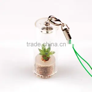 Miniplant "Rock Flower" thumbnail-2