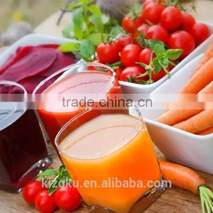 2015 Lowest Price and Innovational Model Stainless Juicer Extractor&pomegranate Juicer thumbnail-5