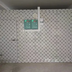 Medium Size Cold Storage,Cold Room,Cold House thumbnail-1