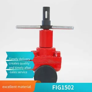 Langfeng Customized 4-inch 1502fm Mud Valve, Petroleum Drilling and Production Machinery Parts, Forged as a Whole thumbnail-1