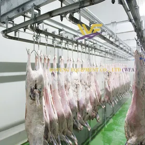 High Output Sheep Slaughter Machinery Complete Processing Line for Commercial Sheep Abattoirs thumbnail-1