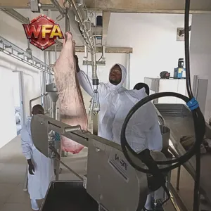 Automatic Complete Pig Slaughter Line Turnkey Modular Pig Abattoir Equipment Supplier From China thumbnail-4