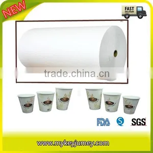 Single Sided PE Coated Paper Roll thumbnail-6