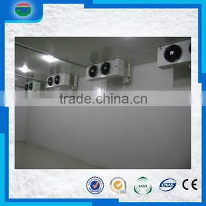 Bottom Price Trade Assurance Cold Room/cold Storage for Fruit thumbnail-4