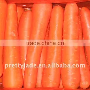 Fresh Carrot thumbnail-1