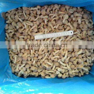 Cheap Good Quality Frozen New Nameko Mushroom Wholesale Price thumbnail-2
