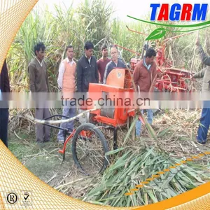6BZ-5 Mini Sugarcane Machine Leaf Cutter Easy Operation Sugarcane Leaf Remove thumbnail-2