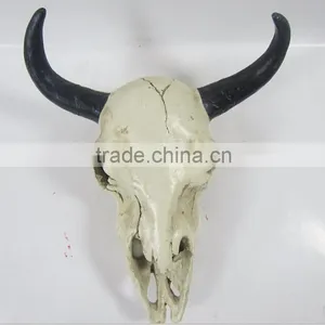Human and Animal Resin Skull,Customized Skull thumbnail-5
