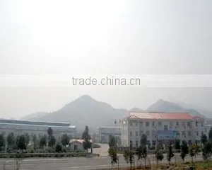 Zhejiang Fuhua New Material Technology Co., Ltd. company overview - view 1 thumbnail