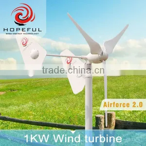 1kw Twin Tails Patent Small Wind Turbines for Home Use thumbnail-3