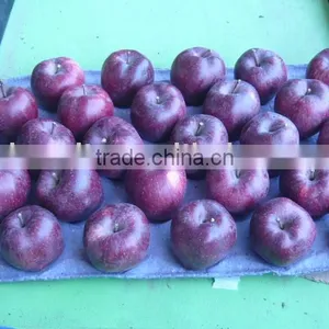 Red Apple thumbnail-1