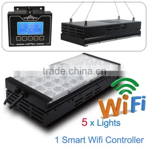 Led Lamp Aquarium With Fresh Water Freshwater Fish Live Led Aquarium Light Red and Green Cool White Dsuny 4 Channels Full Cover thumbnail-1