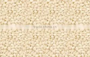 Sesame Seeds thumbnail-1