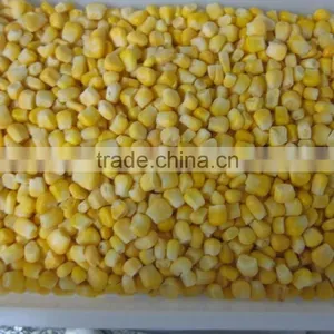 Non-GMO Frozen Sweet Corn Kernels IQF Sweet Corn Kernels thumbnail-6