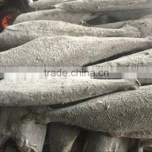 Good Quality Frozen HGT Hamachi in 2016 thumbnail-1
