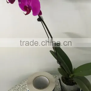 Hot Sale High Quality Vinly Bopp Material Wine Sticker Printed Self-adhesive Labels thumbnail-3