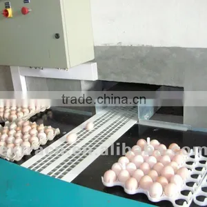 Automatic Chicken Nest thumbnail-2