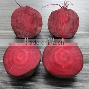 Canned Beetroot Dices A10 thumbnail-4