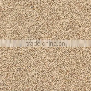 Natural Sesame Seeds, White Sesame Seeds, New Crop Whitish Sesame Seeds thumbnail-3