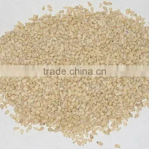 White Sesame Seed New Crop thumbnail-1