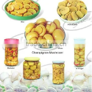 Canned Whole Button Mushroom thumbnail-1