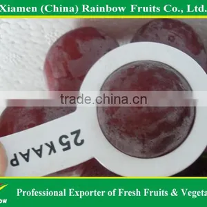 Grapes From China With Sweet Taste thumbnail-6