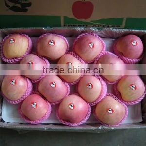 Fresh Fruit Fuji Apple thumbnail-3