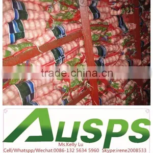 China Garlic Price per Ton thumbnail-4