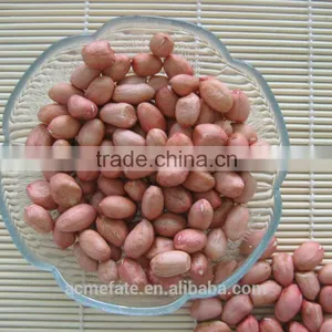 Shandong Long Type Blanched Red Skin Peanut Kernels thumbnail-5