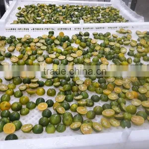 Dried Calamansi, Calamansi Powder thumbnail-2