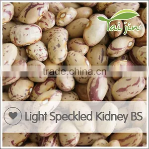 New Arrival Borlotti Bean Market Price thumbnail-1