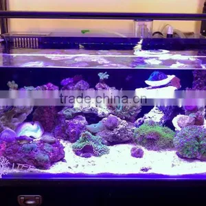ESUN Polycaprolactone (polymorph)for Coral Reef Frag Glue Application in Aquarium thumbnail-3