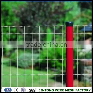 Cheap Holland Wire Mesh Dutch Welded Fence For Sale thumbnail-1