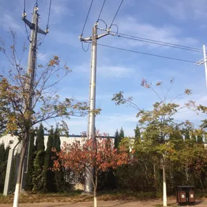 10kv Distribution Momopole thumbnail-3