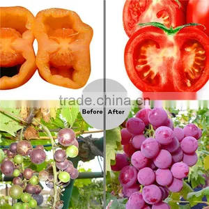 E27 12w Led Grow Light Red/bule Led Hydroponic Grow Light for Greenhouse Plants thumbnail-6