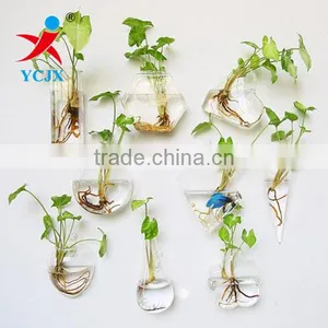 Wholesale Different Shape Hanging Glass Wall Terrariums Decoration thumbnail-1