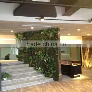 2017 Hot Sale SJZWQ-08 Artificial Plastic Living Green Wall thumbnail-3