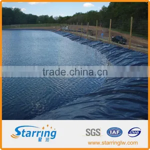 Chinese Top HDPE Geomembrane for Dam Lining thumbnail-1
