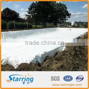 PET Continuous Filament Geotextile for Refuse Landfill thumbnail-1