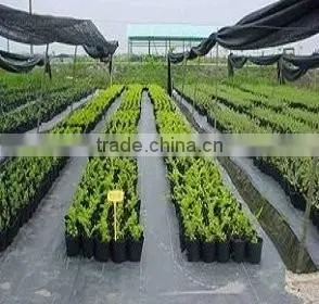 Black pp Spunbond Fabric Ground Cover Net thumbnail-5