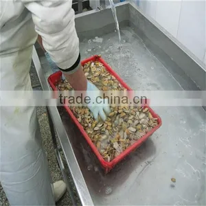 Best Cooking and Iqf Mussels Frozen thumbnail-1