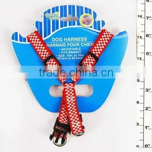 PET Safty thumbnail-1